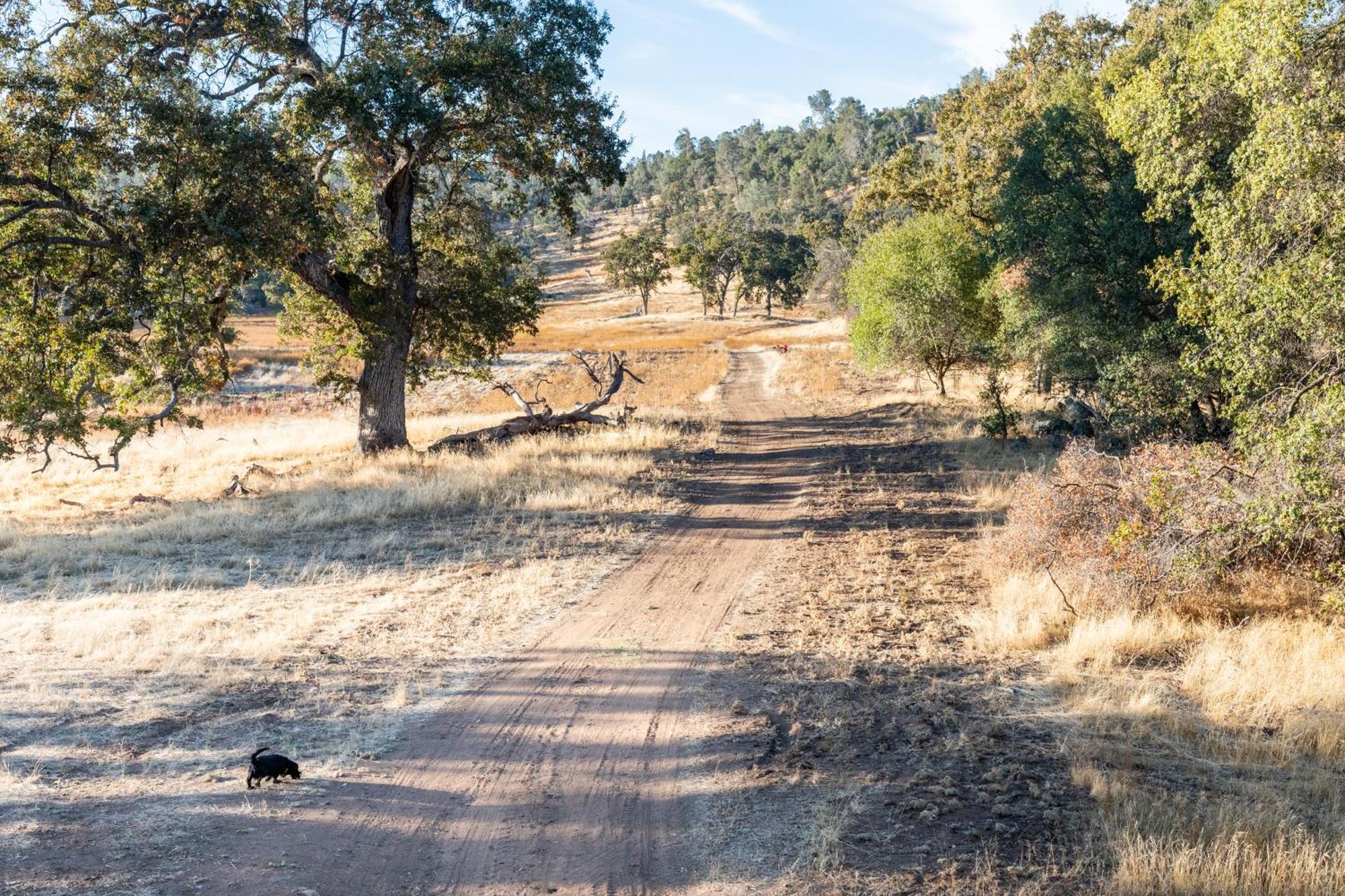 Rolling Oaks Ranch - 200 Acres Of Lakeside Beauty & Countryside Serenity Mariposa Exterior foto